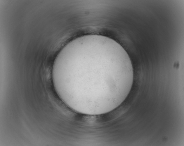 X0000110670131200907021855