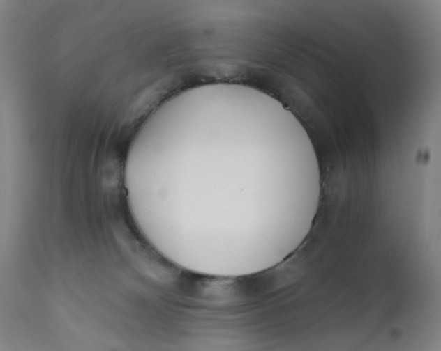 X0000110670132200907021855
