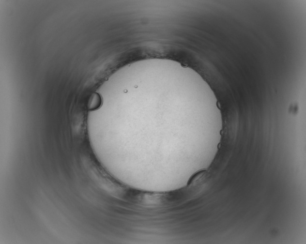 X0000110670134200907021855
