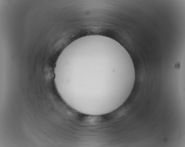 X0000110670135200907021855