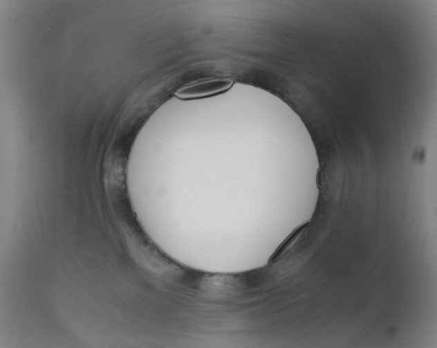 X0000110670137200907021855