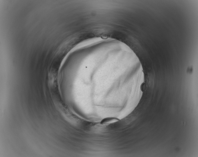 X0000110670138200907021855