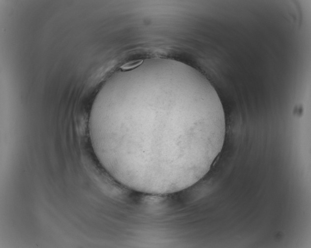 X0000110670139200907021855