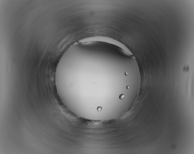 X0000110670140200907021855