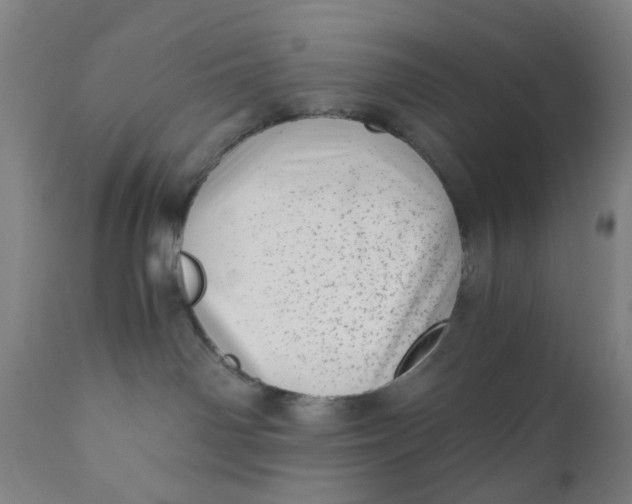 X0000110670142200907021855