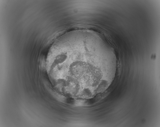 X0000110670143200907021855