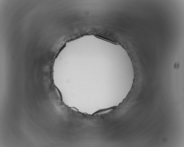 X0000110670144200907021855