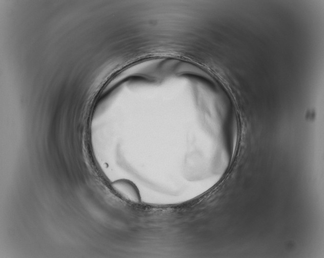 X0000110670145200907021854