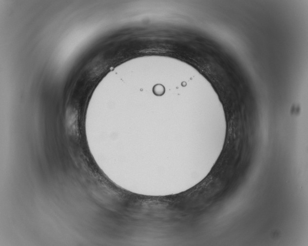 X0000110670146200907021854