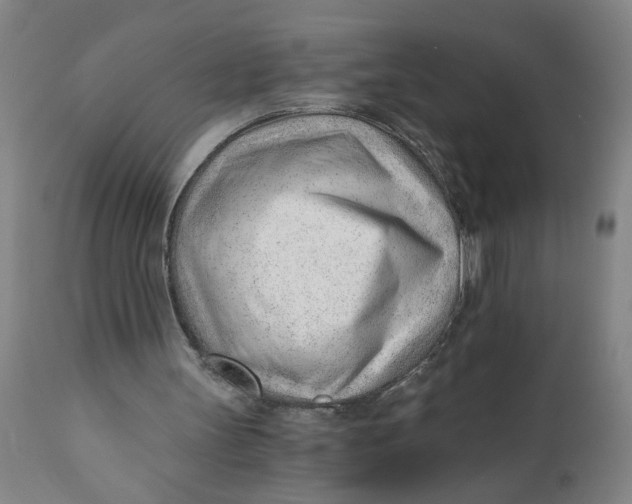 X0000110670147200907021854