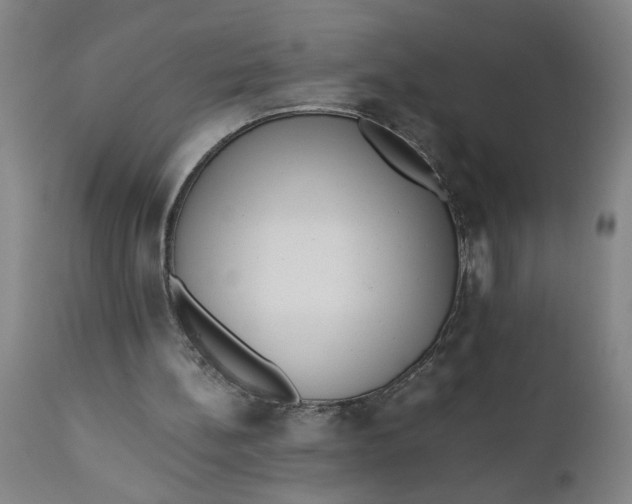 X0000110670148200907021854