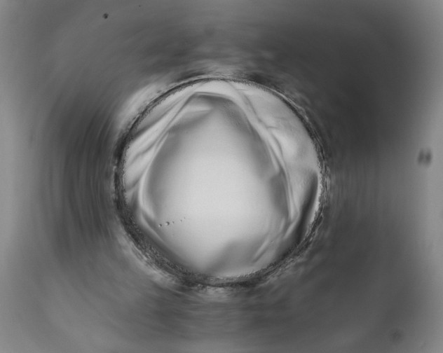 X0000110670149200907021854