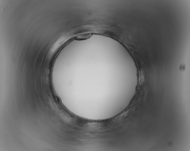 X0000110670150200907021854