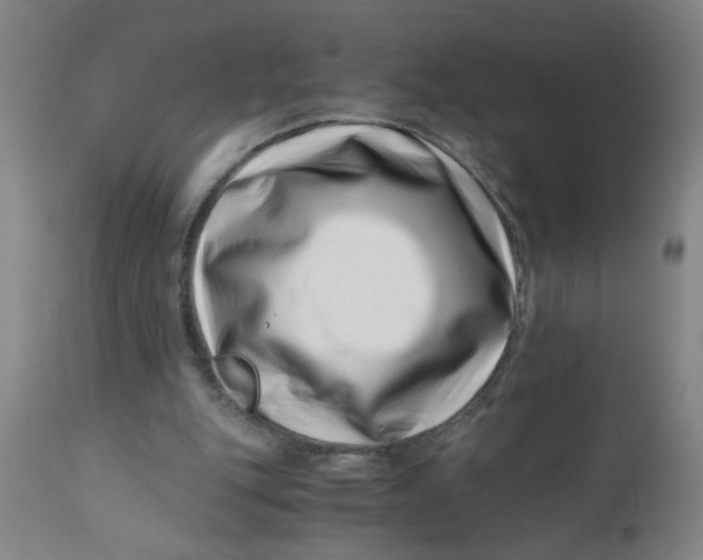 X0000110670151200907021854