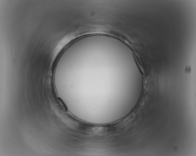 X0000110670152200907021854