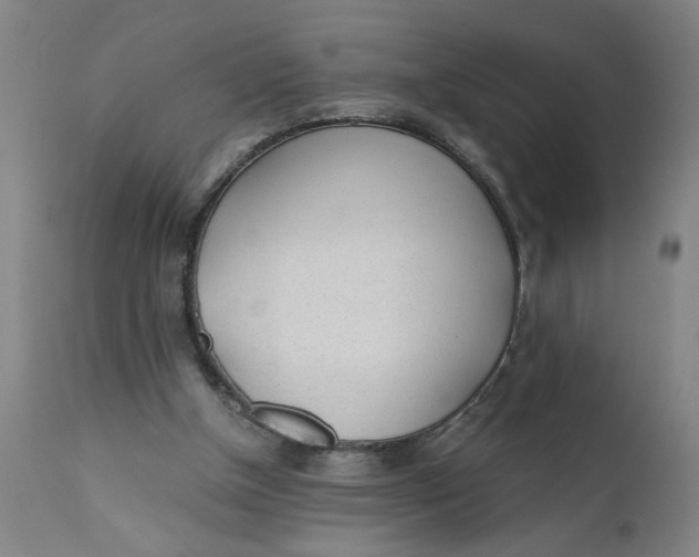 X0000110670154200907021855
