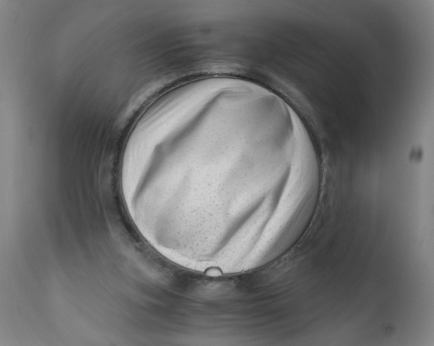 X0000110670155200907021855