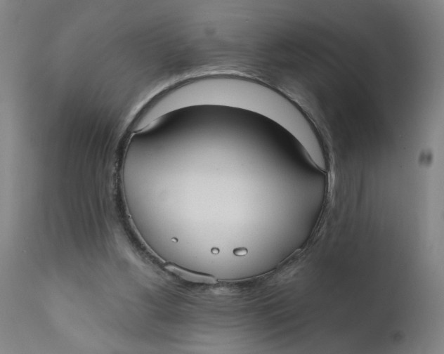 X0000110670156200907021855