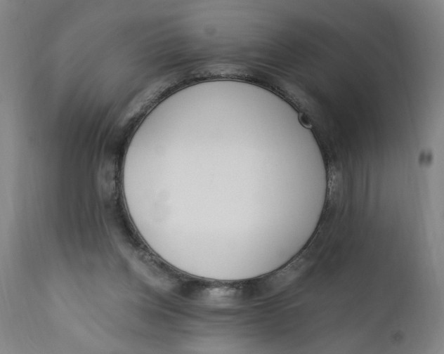 X0000110670158200907021855