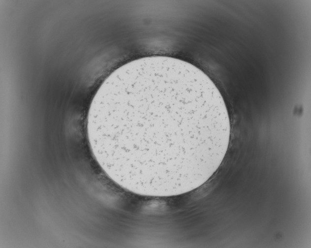 X0000110670162200907021855