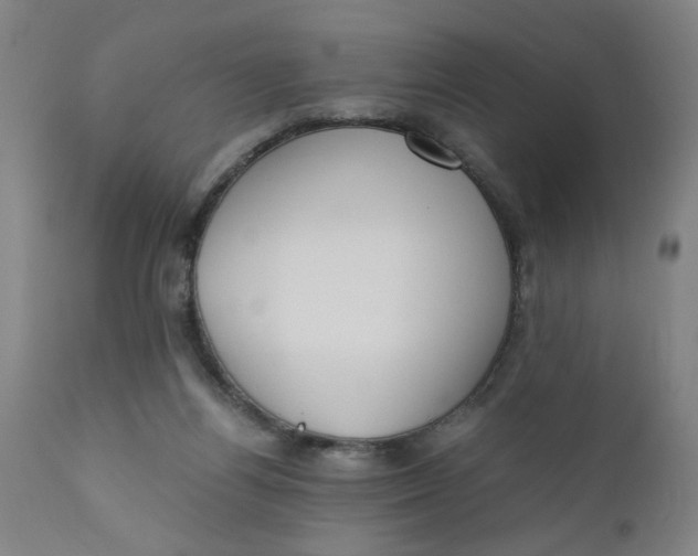 X0000110670164200907021855