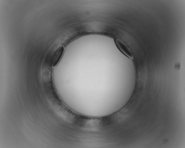 X0000110670168200907021855