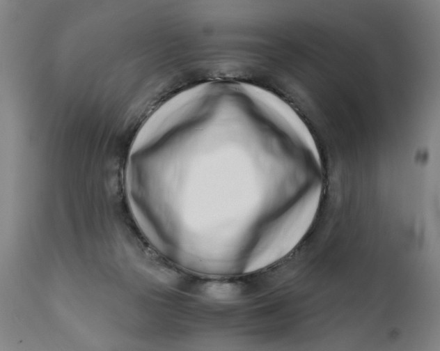 X0000110670169200907021855