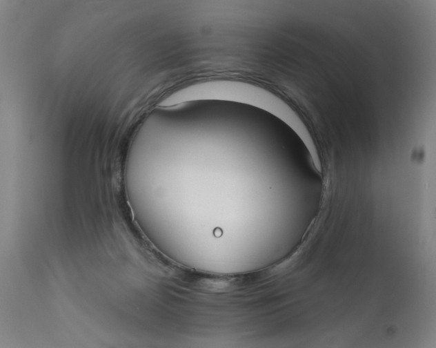 X0000110670170200907021855