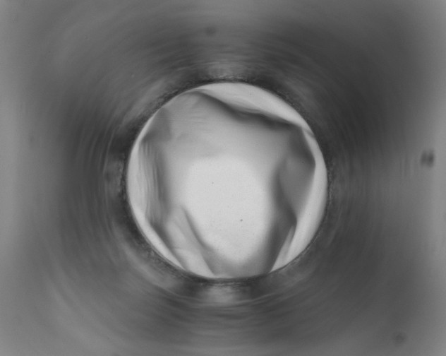 X0000110670171200907021855