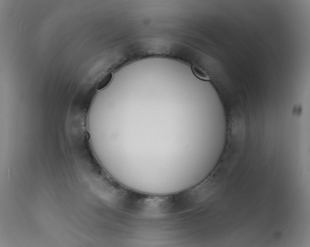 X0000110670172200907021855