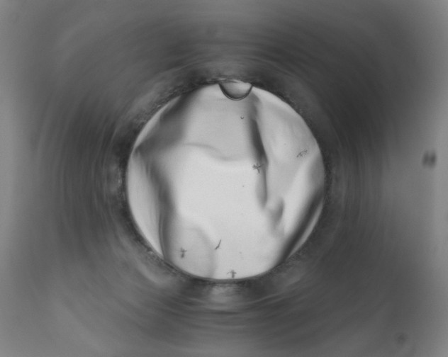 X0000110670173200907021855