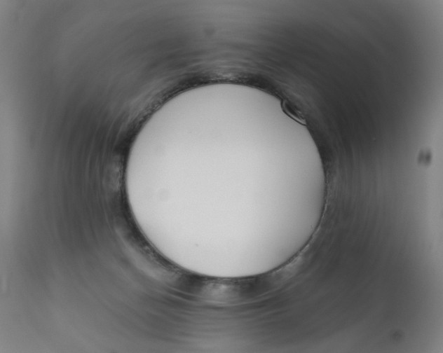 X0000110670174200907021855