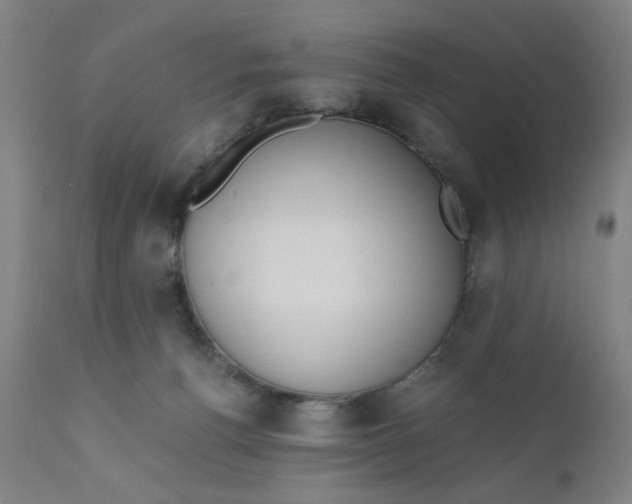 X0000110670176200907021855