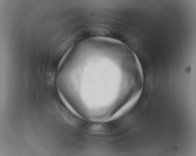 X0000110670177200907021855