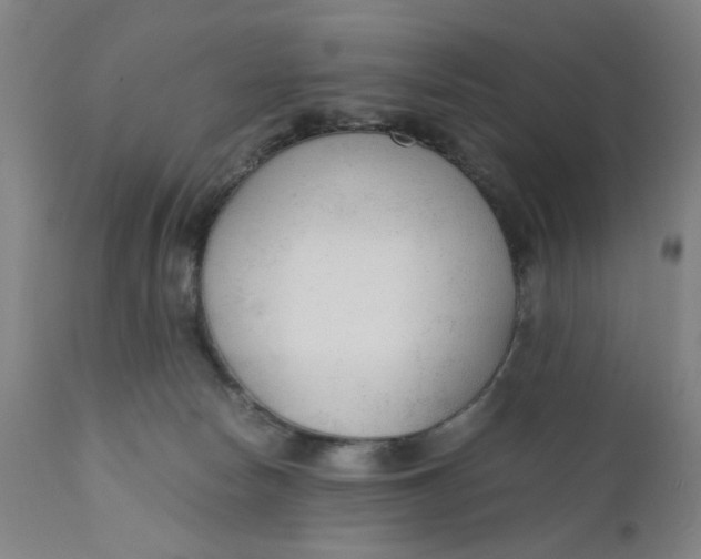 X0000110670178200907021855