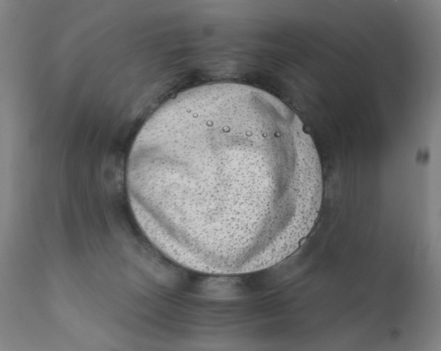 X0000110670179200907021855