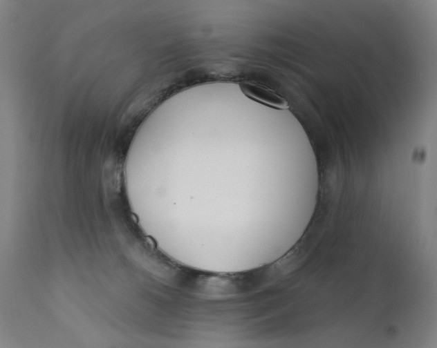 X0000110670180200907021855
