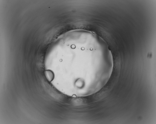 X0000110670181200907021855