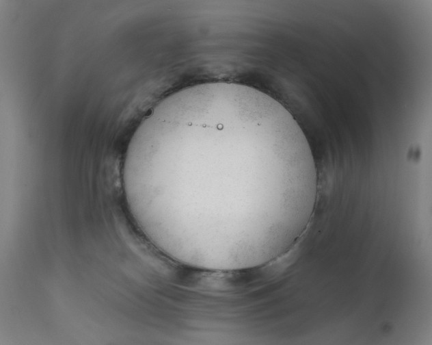 X0000110670182200907021855