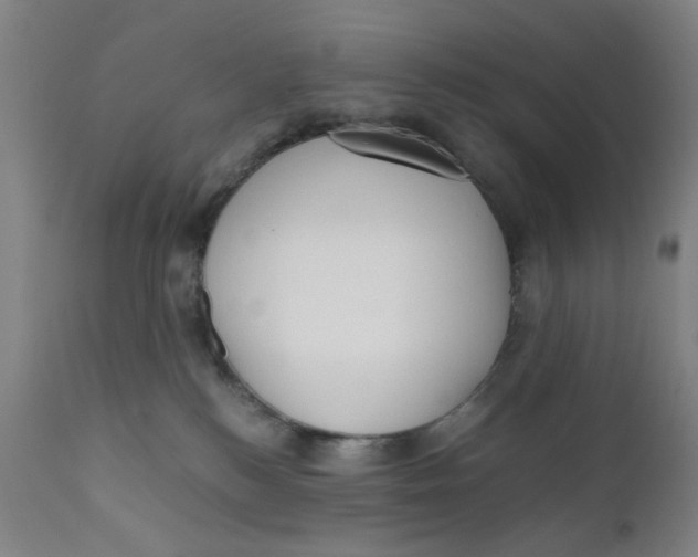 X0000110670184200907021855