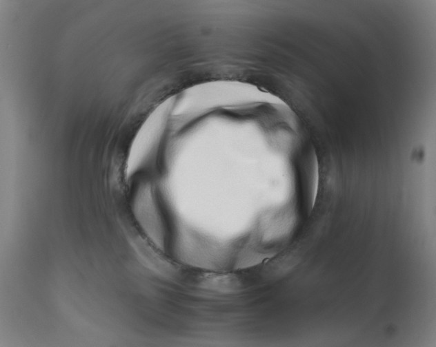X0000110670185200907021855