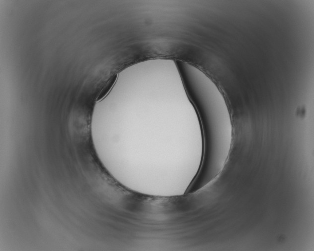 X0000110670186200907021855