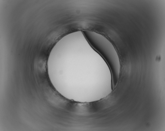 X0000110670188200907021855