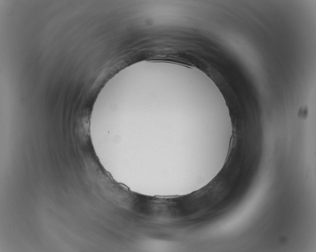 X0000110670190200907021855