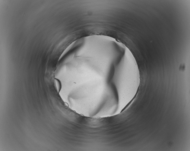 X0000110670191200907021855