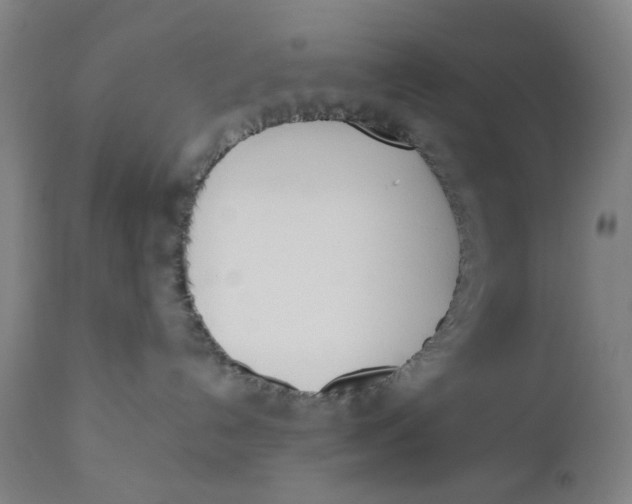 X0000110670192200907021855