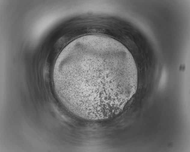 X0000110670195200907021854