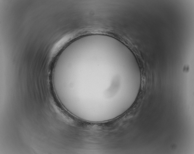 X0000110670197200907021854