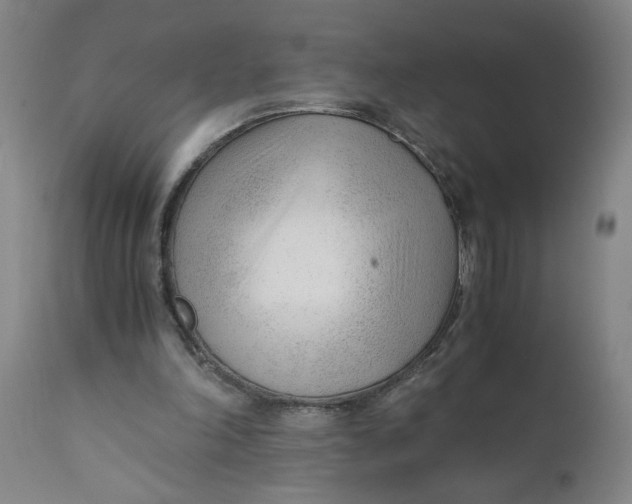 X0000110670198200907021854