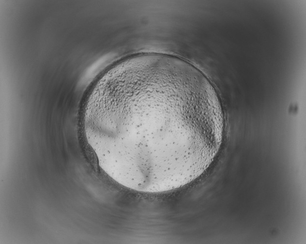 X0000110670199200907021854
